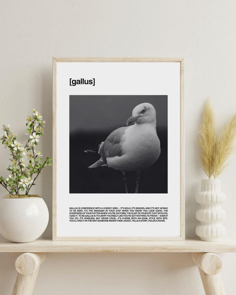 Gallus Unframed Print | Scottish Word Art | Minimalist Typography Poster | Scotland Home Decor | Friend Gift | Scotland Photography
