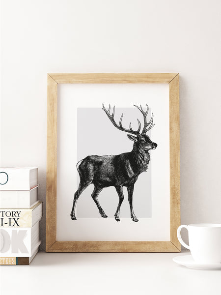 Choose Your Colour Stag Deer Scottish Unframed Print