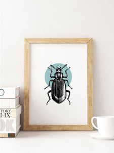 Choose Your Colour Abstract Beetle Unframed Print