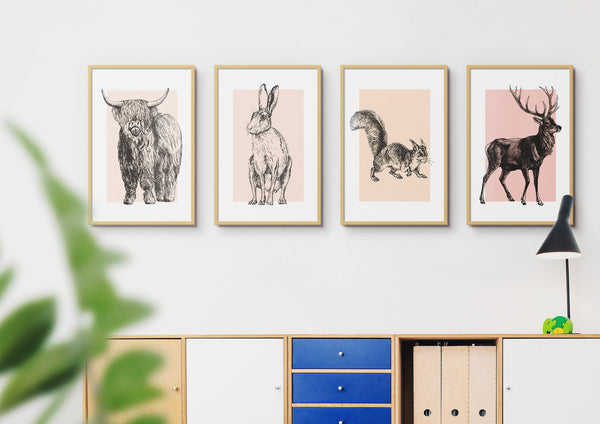 Scottish Animals Set Of Four Colour Unframed Print