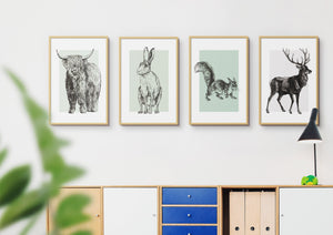 Scottish Animals Set Of Four Colour Unframed Print