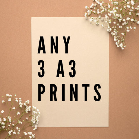 Any 3 A3 Prints Bundle Offer