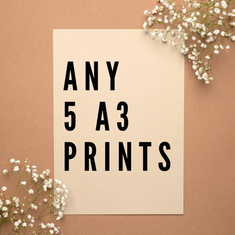 Any 5 A3 Prints Bundle Offer
